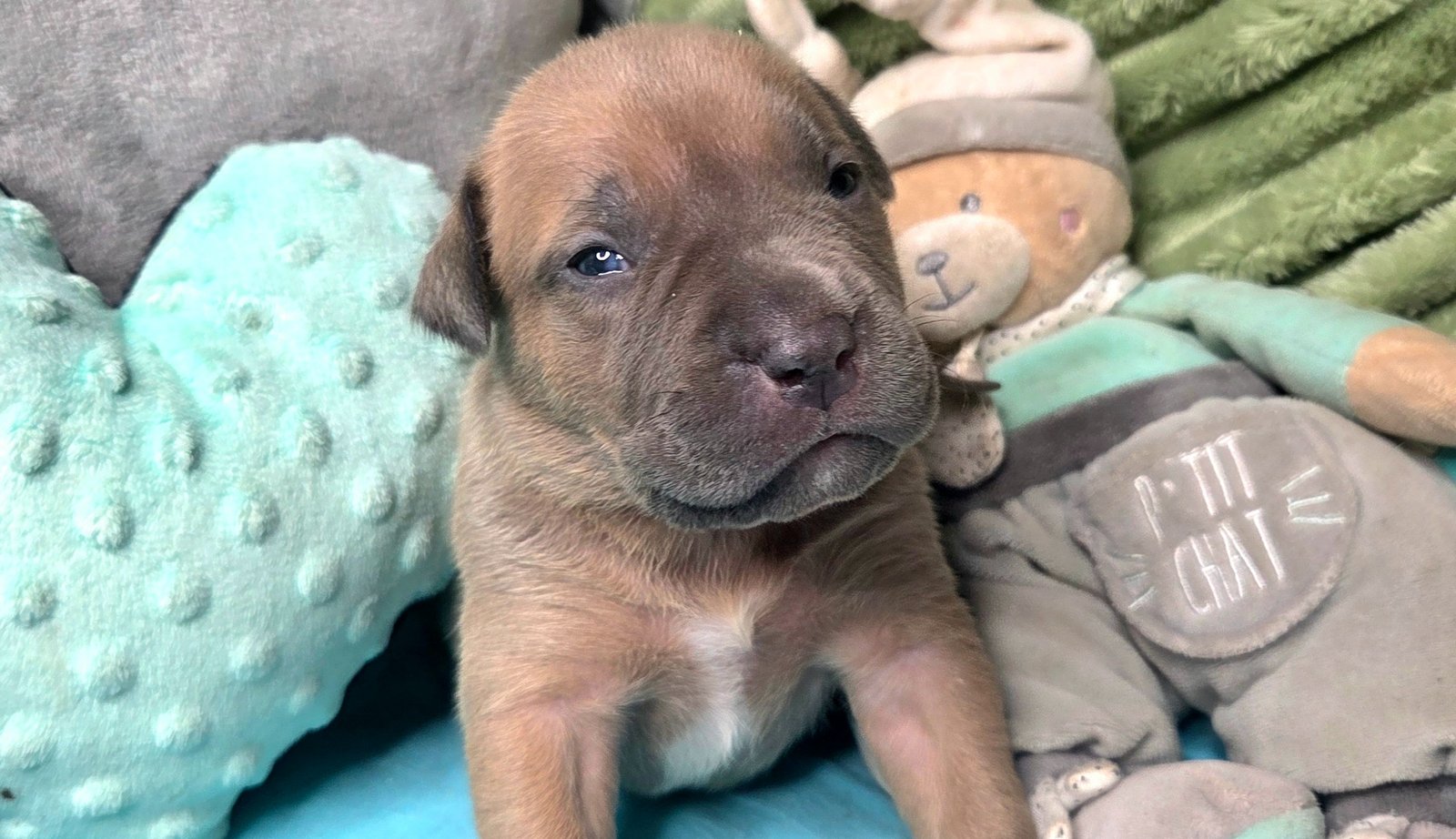 Photo de ALIAS BOTOX