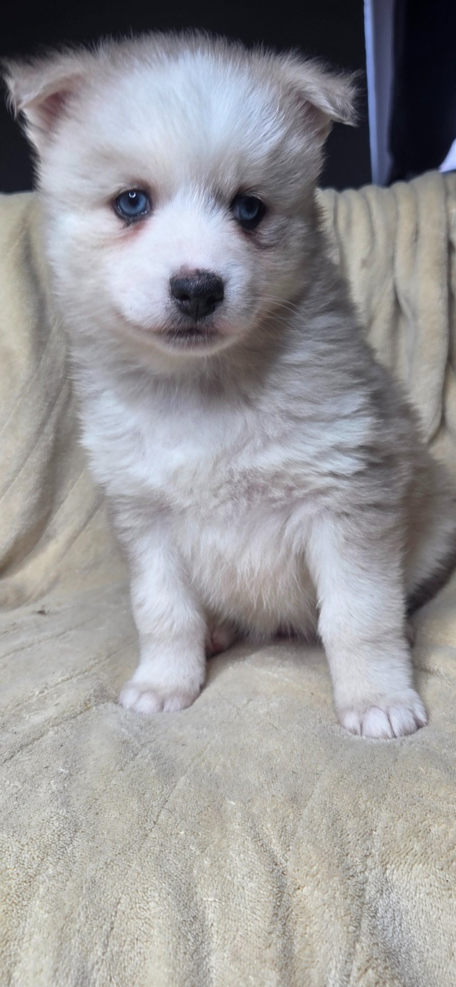 Photo de Psychadelya