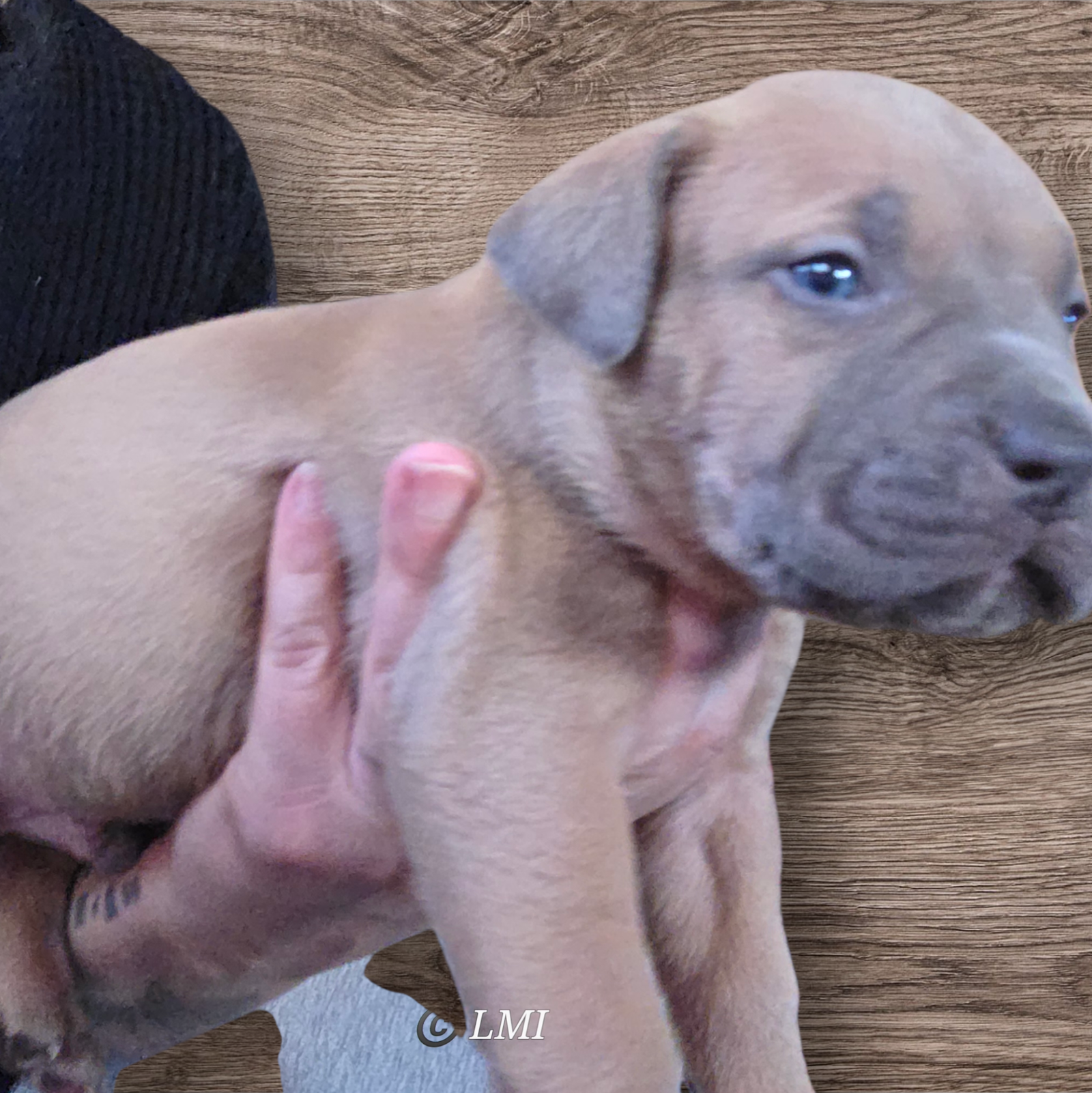 Photo de ALIAS BOTOX