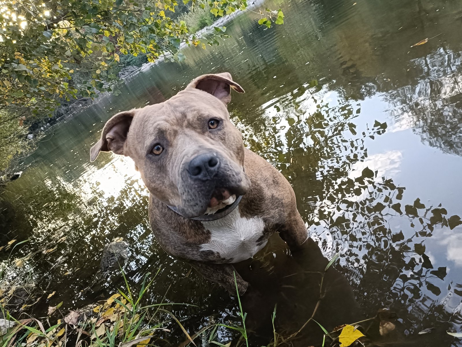 Photo de Taya Du Royaume D'Kera