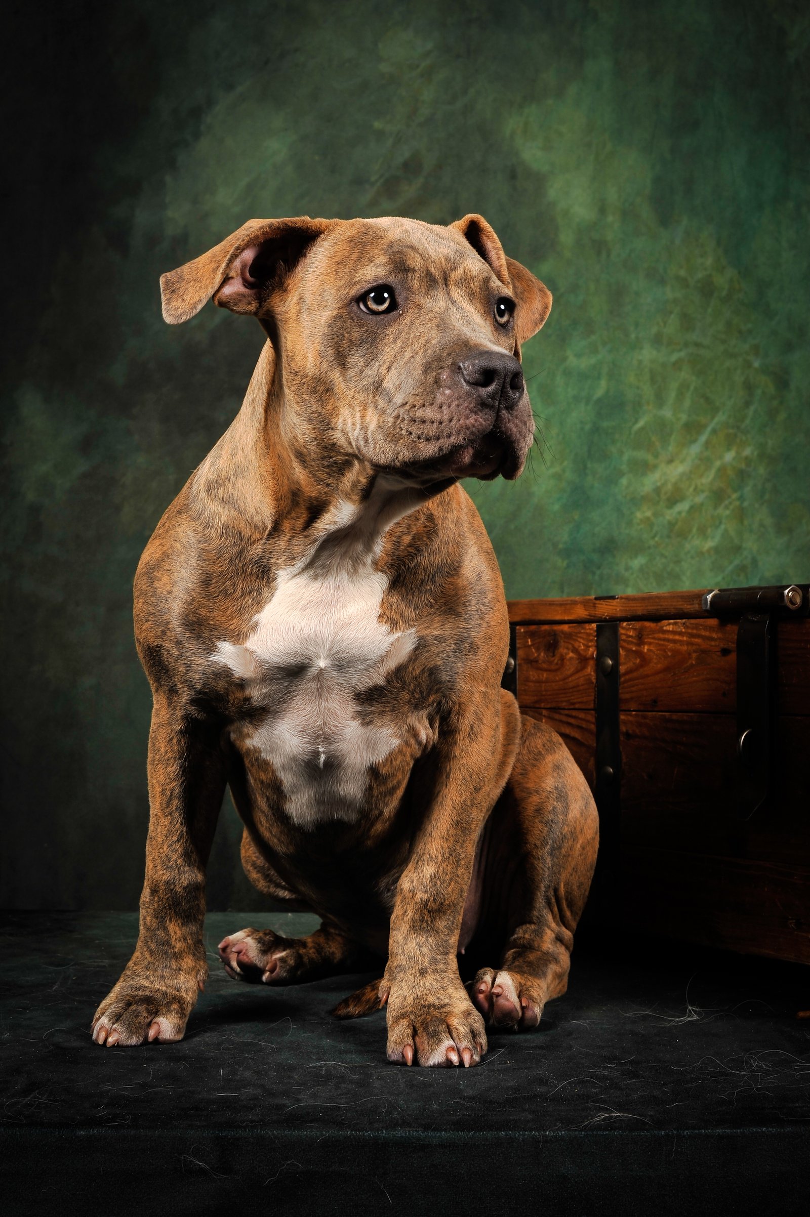 Photo de Taya Du Royaume D'Kera