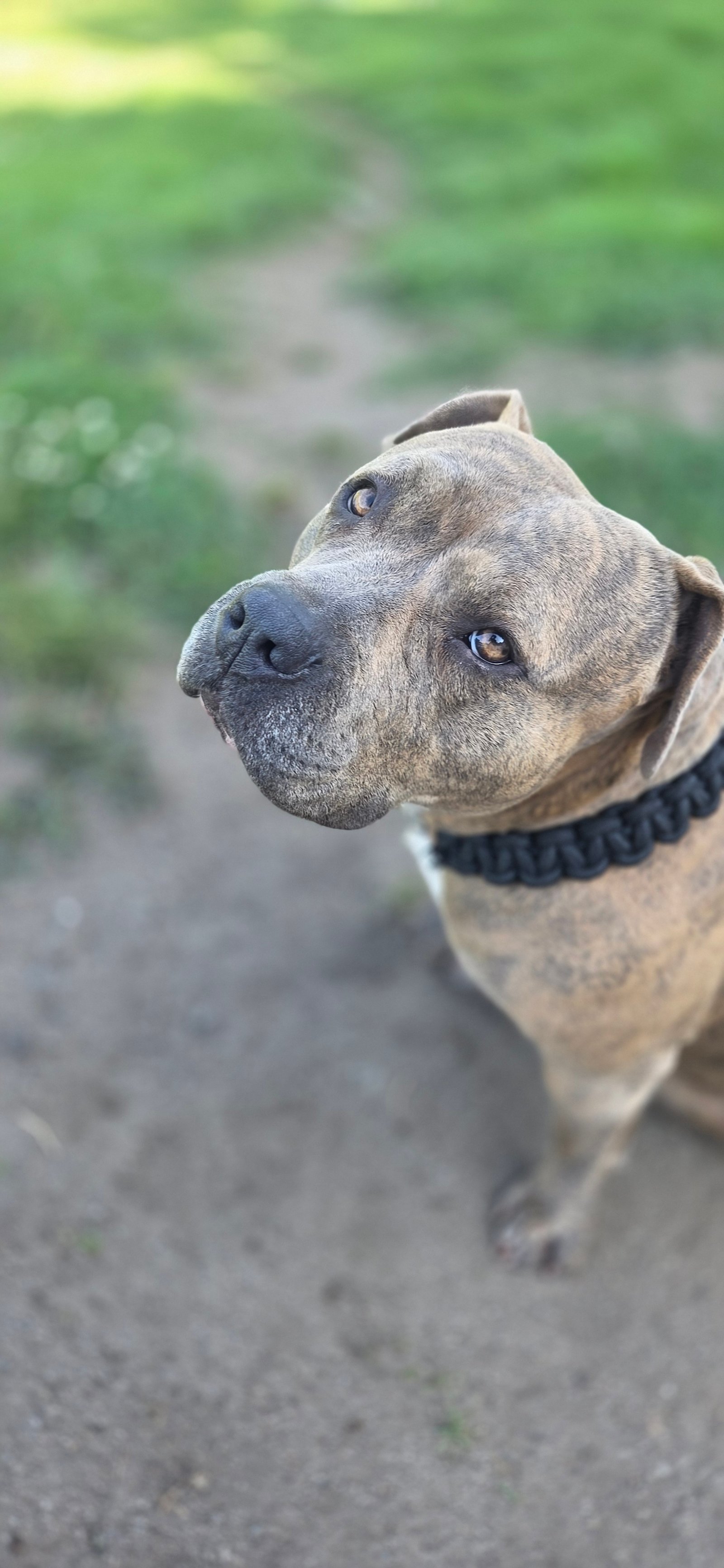 Photo de Taya Du Royaume D'Kera